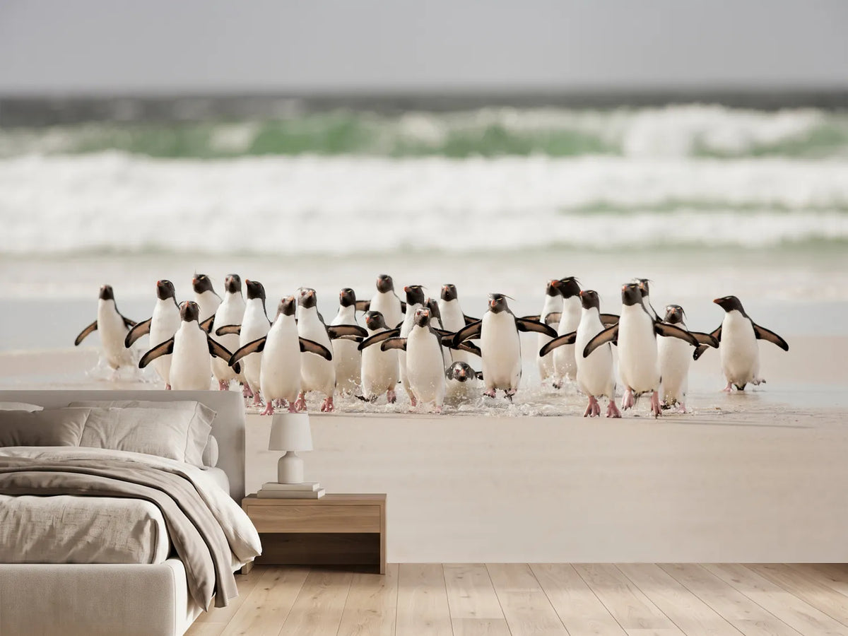 photo-wallpaper-desembarco
