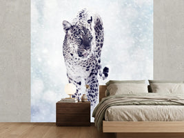 photo-wallpaper-photo-wallaper-the-leopard