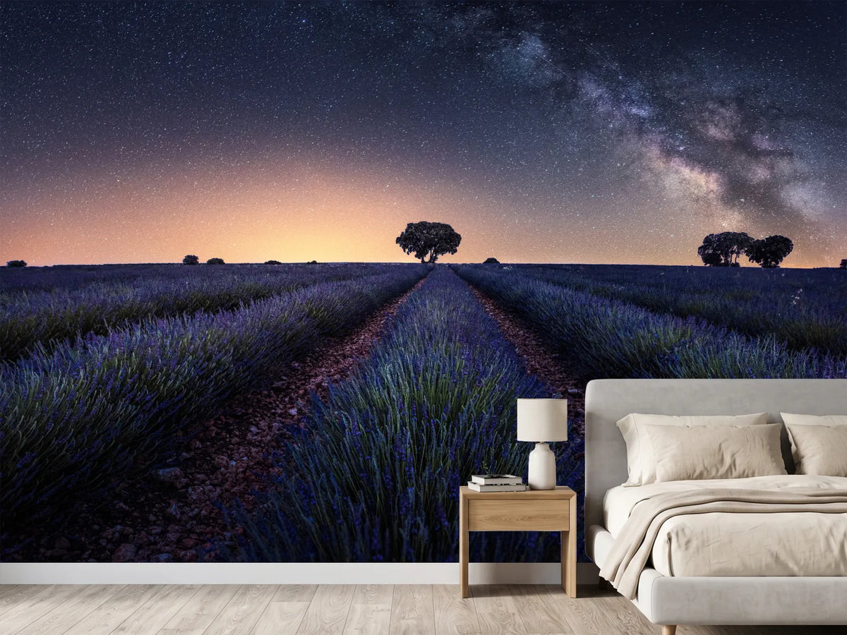 photo-wallpaper-lavender-fields-xxw
