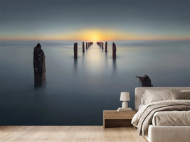 photo-wallpaper-last-light-ii