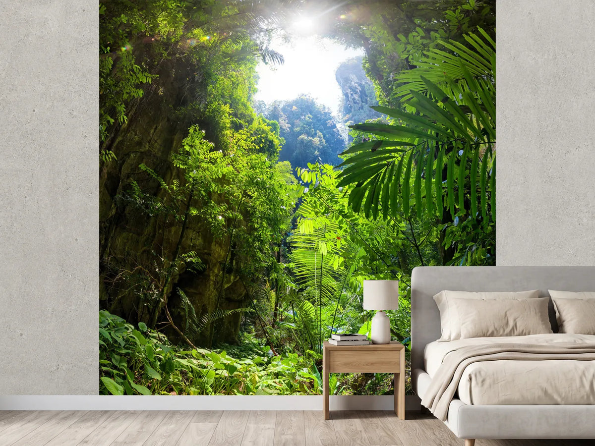 photo-wallpaper-clearing-in-the-jungle