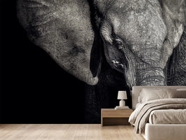 photo-wallpaper-the-matriarch