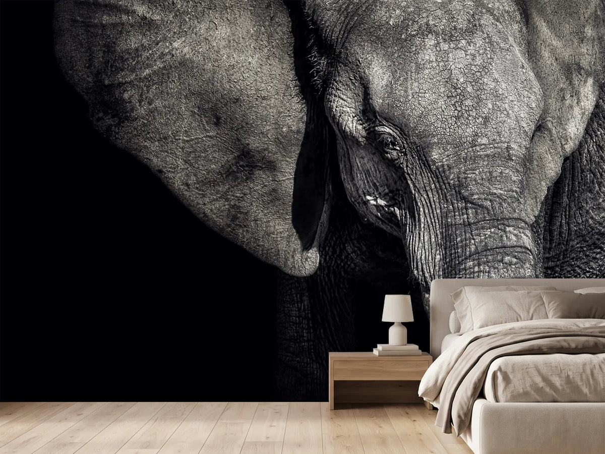 photo-wallpaper-the-matriarch