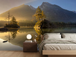 photo-wallpaper-golden-morning-x