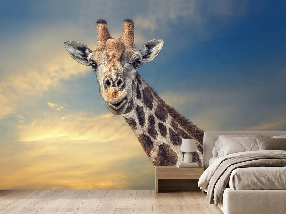 photo-wallpaper-the-friendly-giant