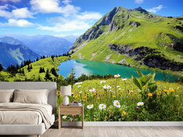photo-wallpaper-seealpsee-2