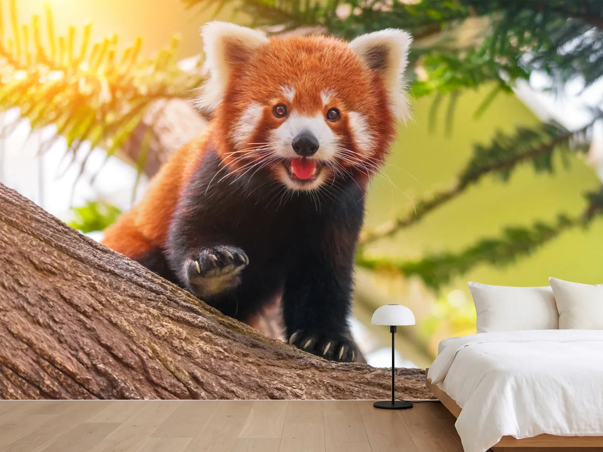 photo-wallpaper-lazy-day-in-the-countryside