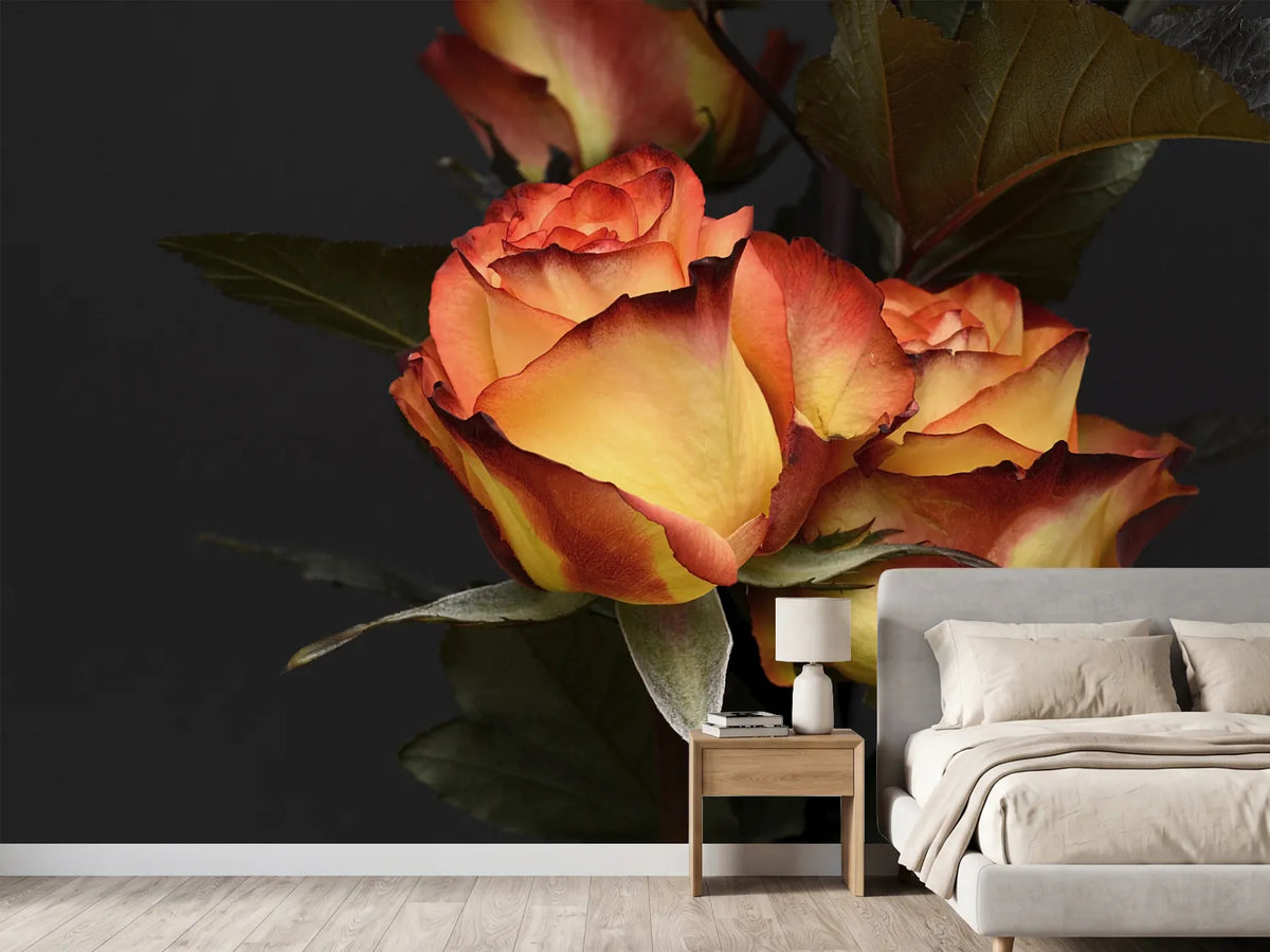 photo-wallpaper-roses-of-the-romance