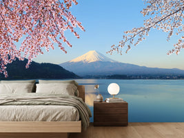photo-wallpaper-mount-fuji-view-from-lake-kawaguchiko