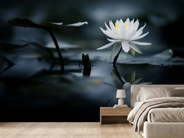 photo-wallpaper-reflection-xkq