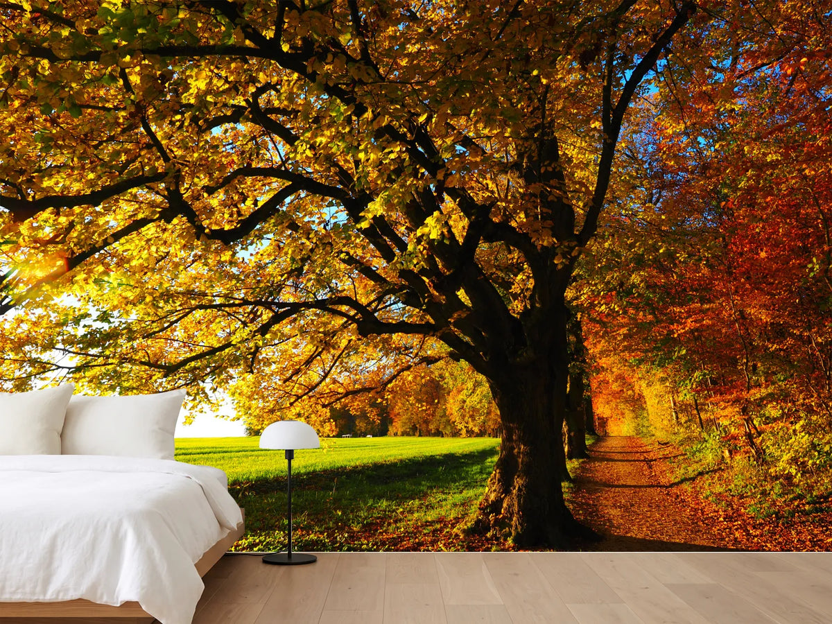 photo-wallpaper-trees-in-the-autumn