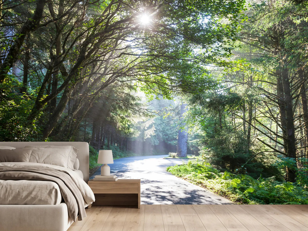 photo-wallpaper-sunny-forest-path