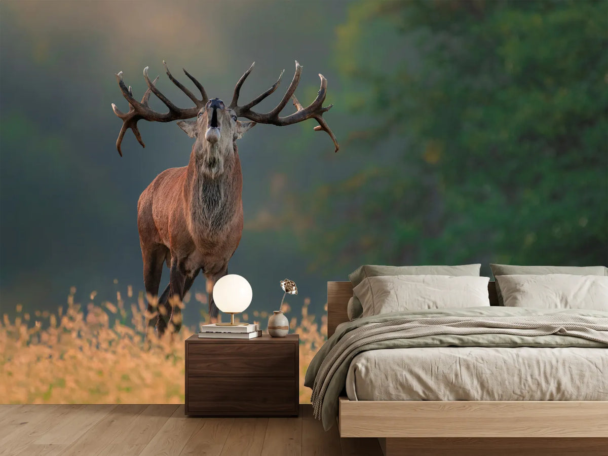 photo-wallpaper-deer-wedding-song-x