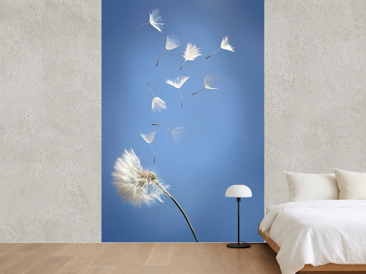 photo-wallpaper-dandelion-xl
