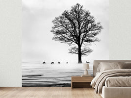 photo-wallpaper-roes-x