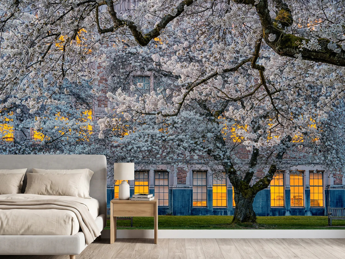 photo-wallpaper-morning-at-university-of-washington-x