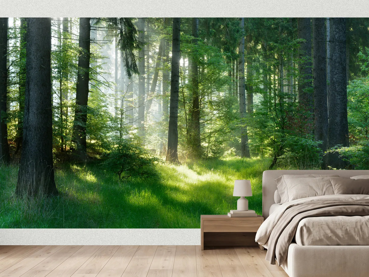 photo-wallpaper-sunlit-forest-glade-with-morning-mist-over-fresh-green-grass