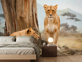 photo-wallpaper-lions-in-africa