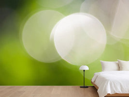 photo-wallpaper-reflections-balls