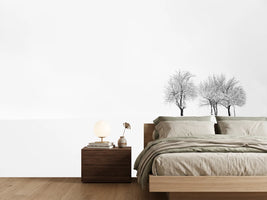 photo-wallpaper-tree-and-silence-x