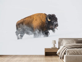 photo-wallpaper-bison-in-the-snow-x
