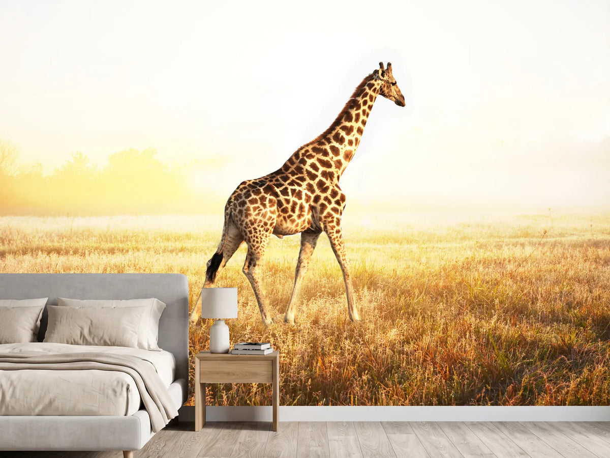 photo-wallpaper-the-giraffe