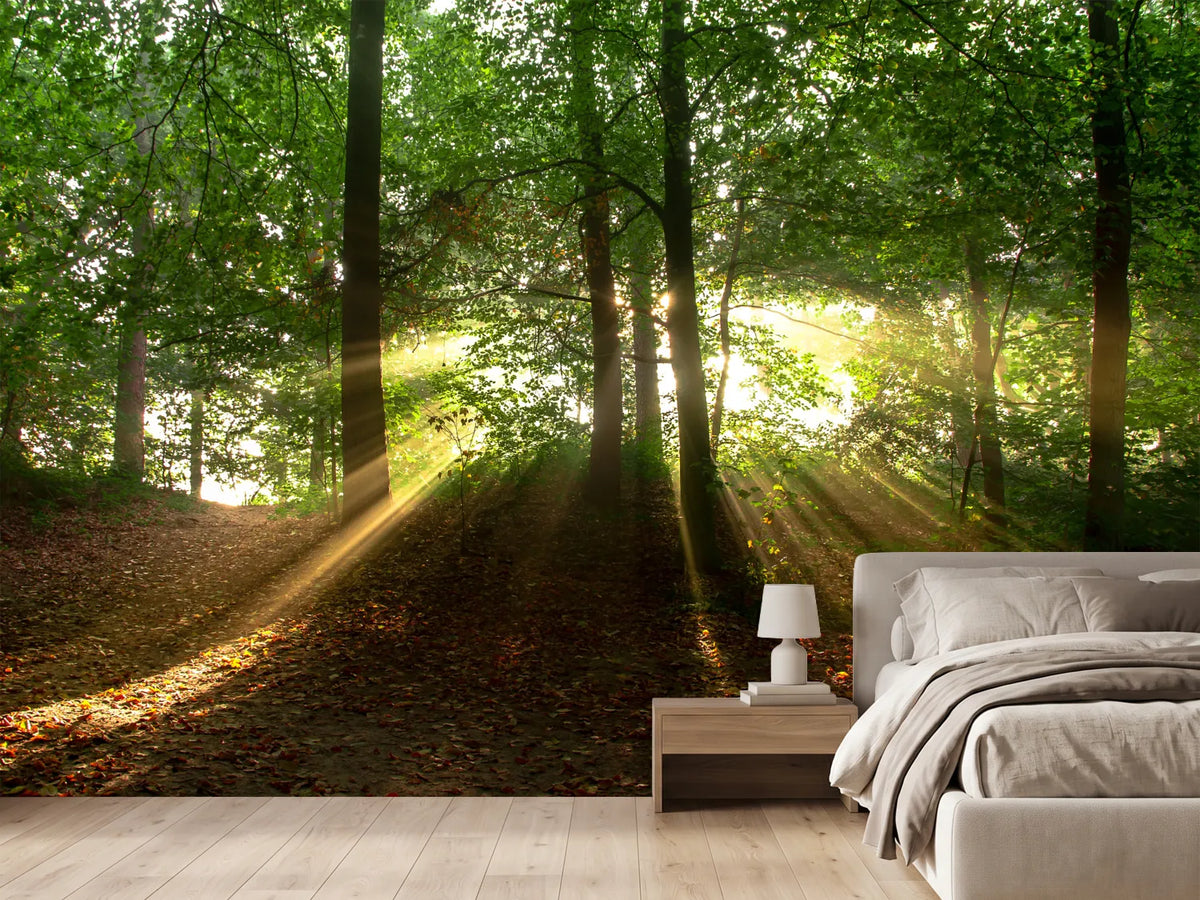 photo-wallpaper-sun-in-the-forest