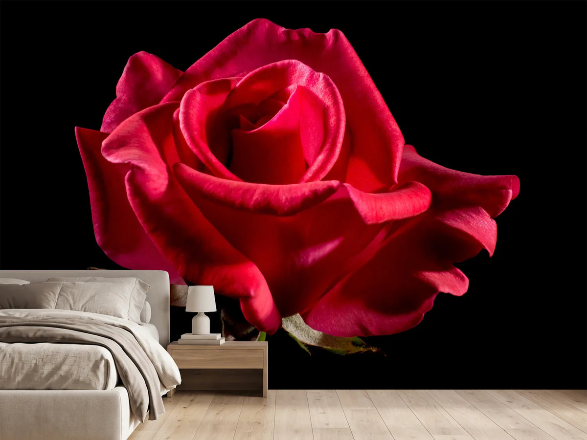 photo-wallpaper-the-flower-of-love