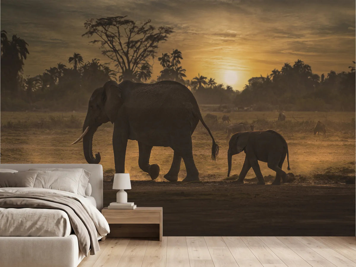 photo-wallpaper-african-sunset-elephants