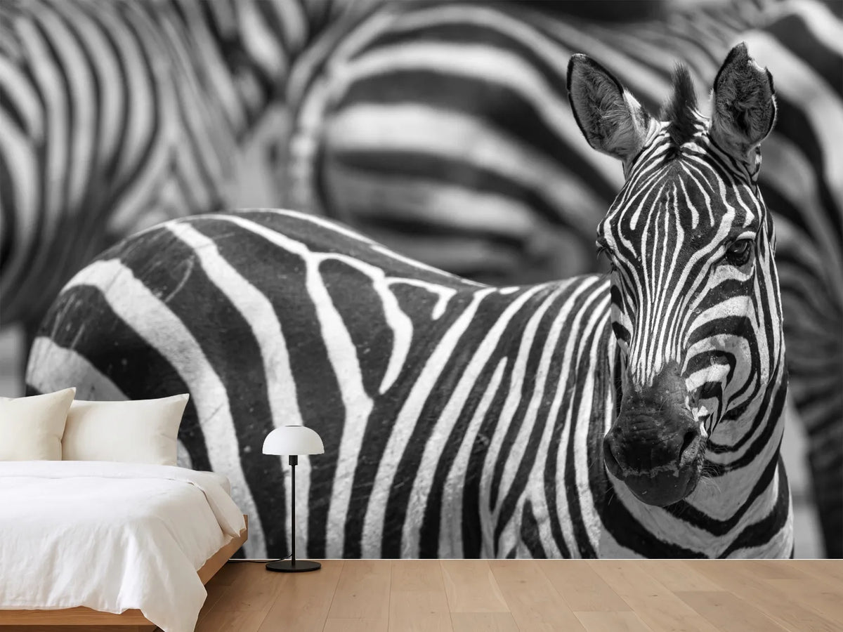 photo-wallpaper-stripes-x