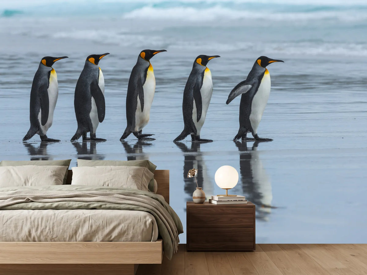 photo-wallpaper-five-online-x
