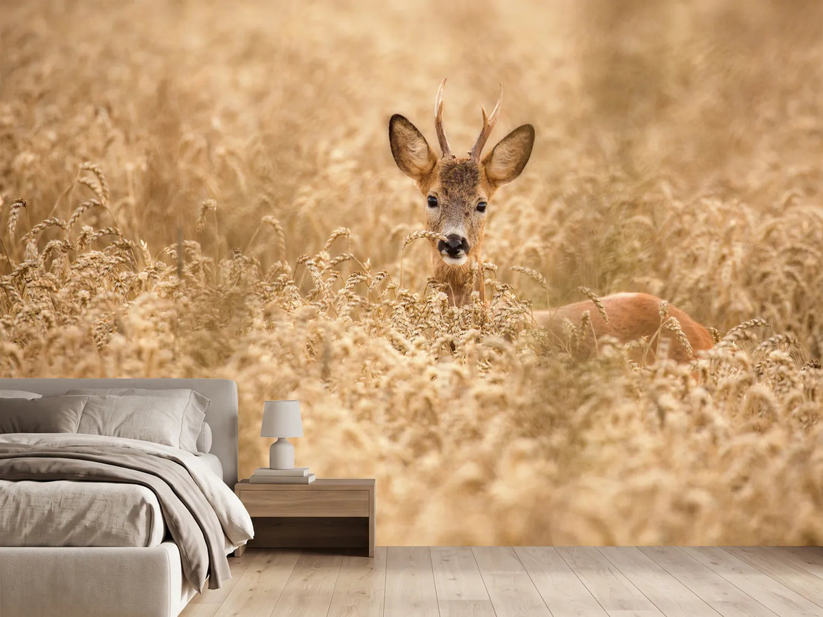 photo-wallpaper-deer-in-the-field-x