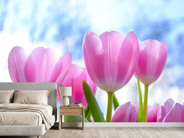 photo-wallpaper-tulips-in-nature