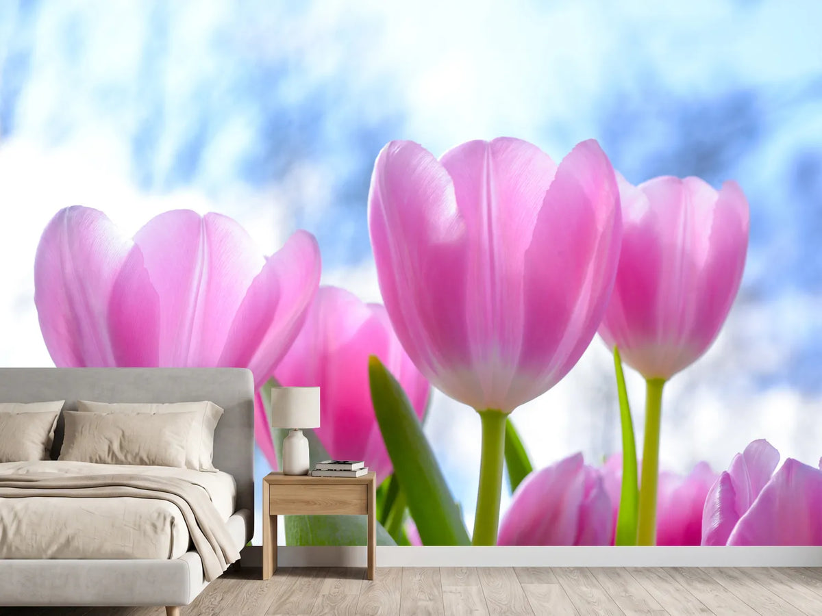 photo-wallpaper-tulips-in-nature