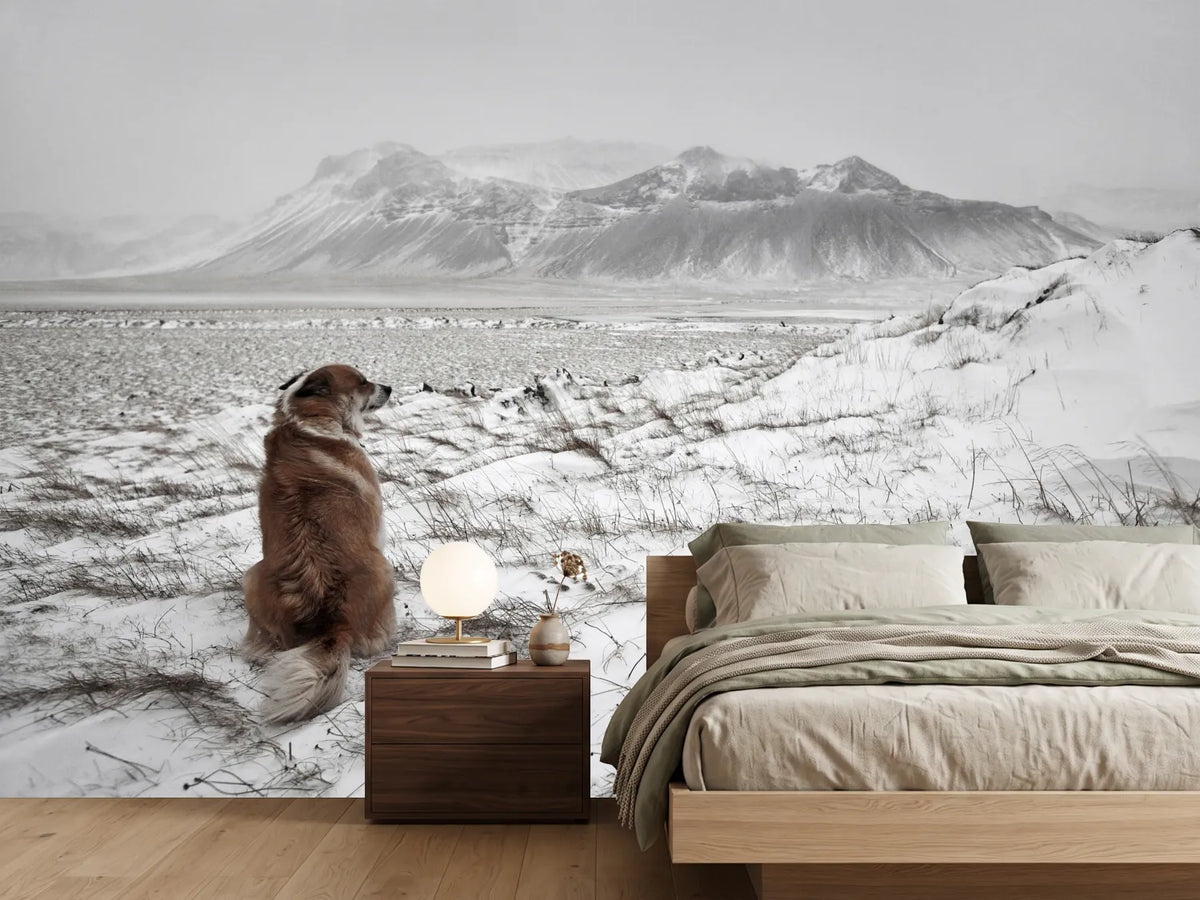 photo-wallpaper-snowstorm-x