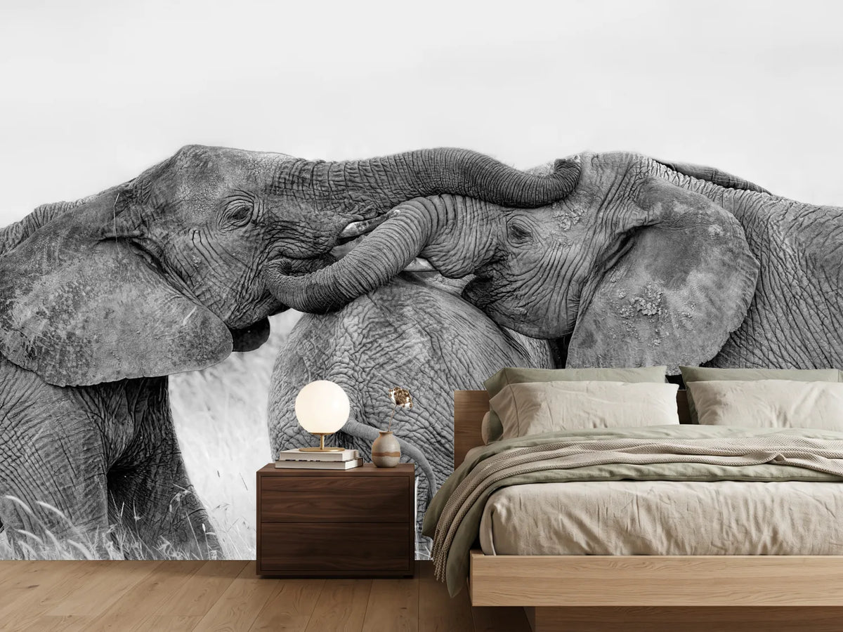 photo-wallpaper-elephant-playing-x