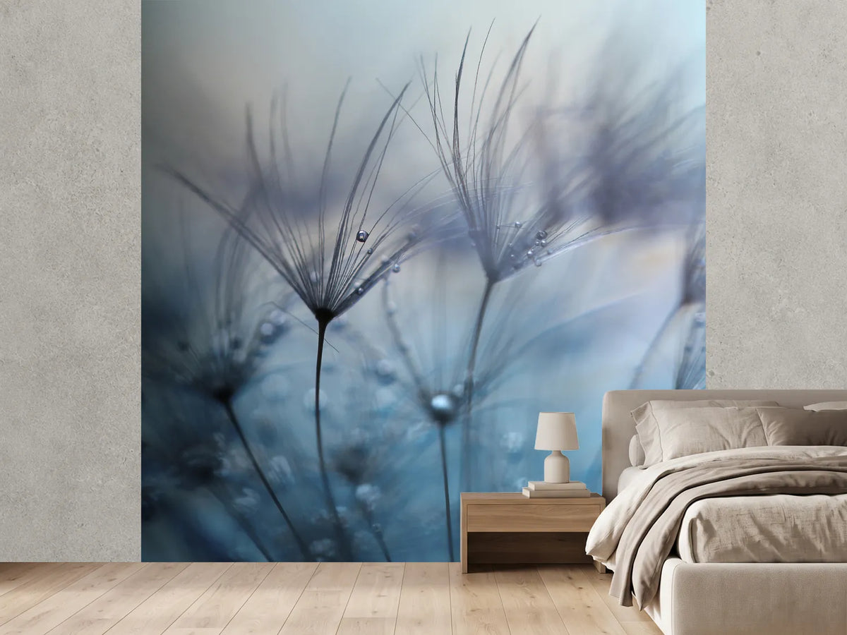 photo-wallpaper-teardrops