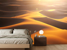 photo-wallpaper-wilderness-journey