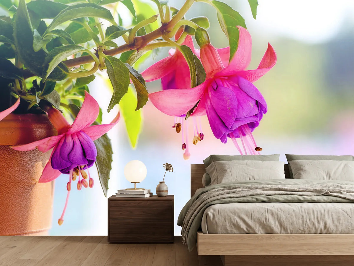 photo-wallpaper-the-fuchsias