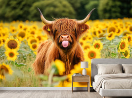 photo-wallpaper-a-highland-cow-with-huge-horns-standing-in-a-sunflowers-field