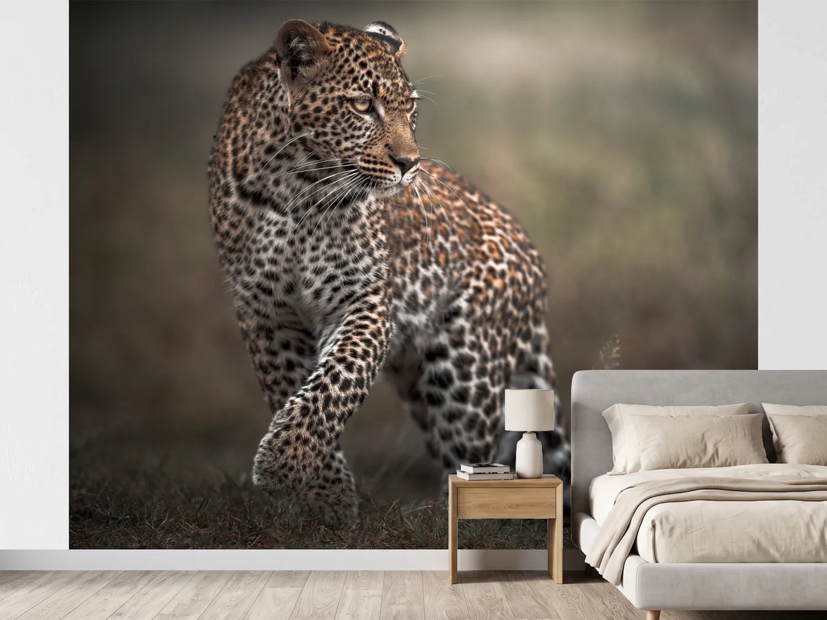 photo-wallpaper-alert-leopard-walk