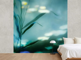 photo-wallpaper-ripples-in-suzhou