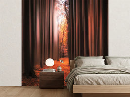 photo-wallpaper-dont-wake-me-up-x