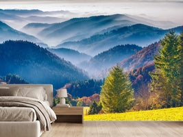 photo-wallpaper-black-forest-autumn-colors-and-haze