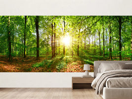 photo-wallpaper-beautiful-forest-in-spring-with-bright-sun-shining-through-the-trees