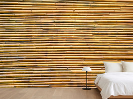 photo-wallpaper-horizontal-bamboo-wall
