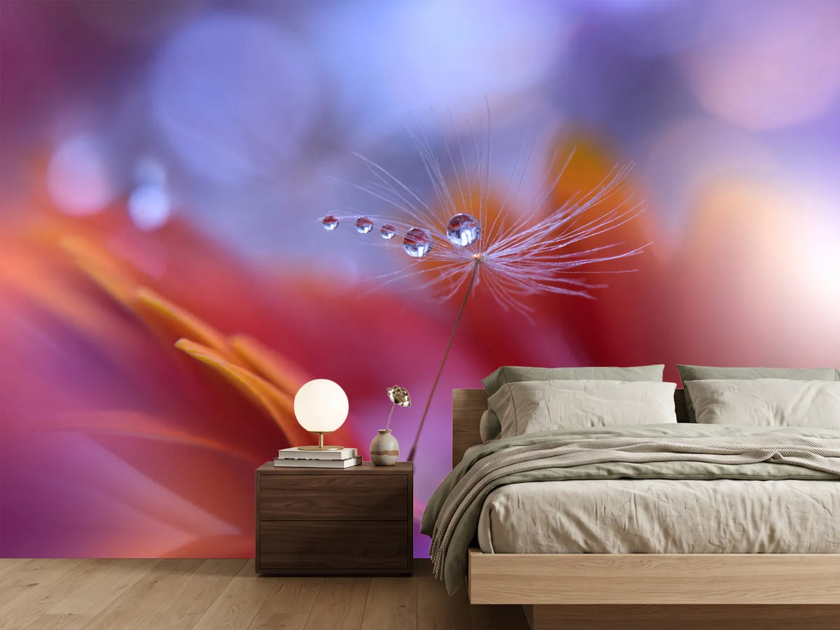 photo-wallpaper-dance-in-the-light