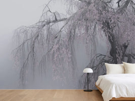 photo-wallpaper-ethereal-cherry-tree