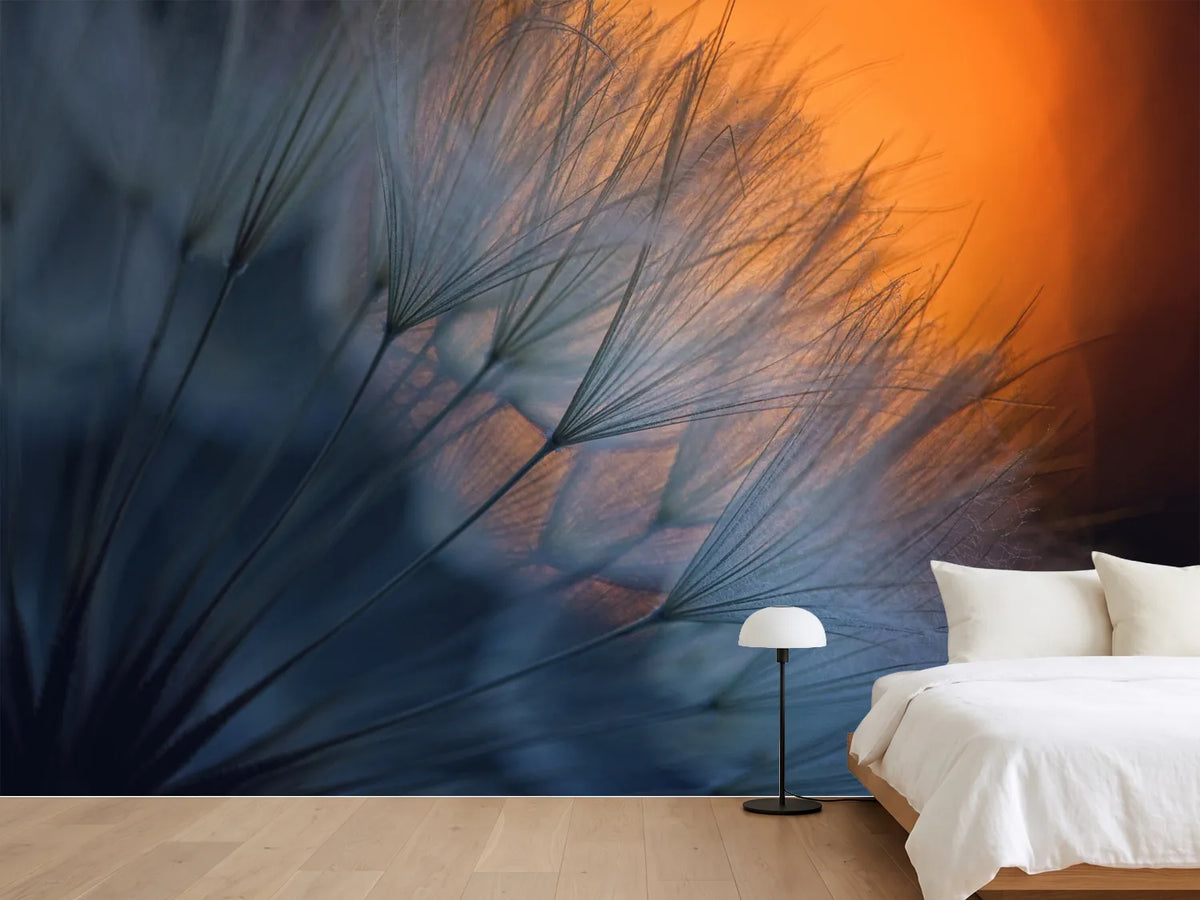 photo-wallpaper-feathers-p