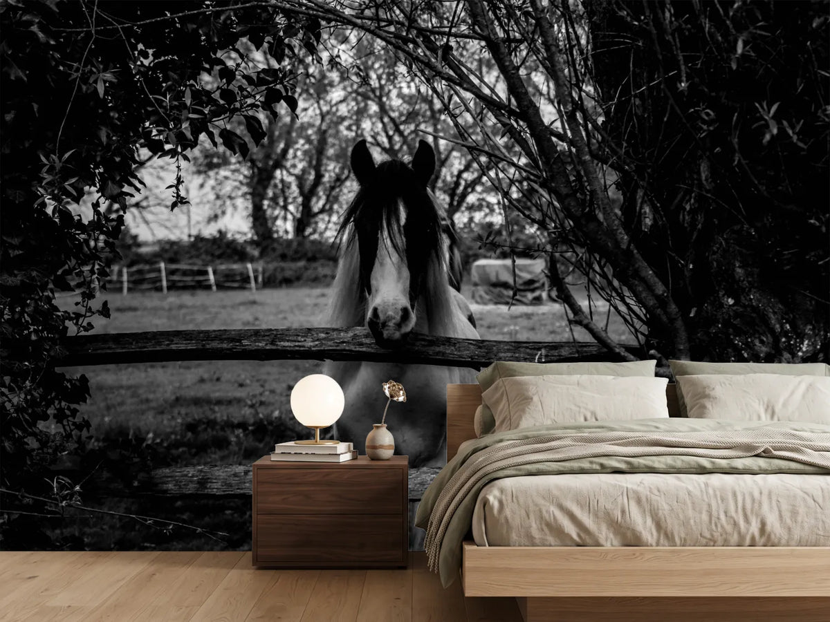photo-wallpaper-the-horse-sw